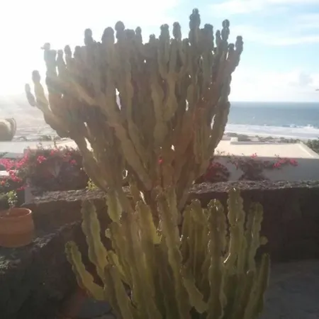 Bungalow With Pool With The Most Amazing Views And Large Exotic Garden 파마라